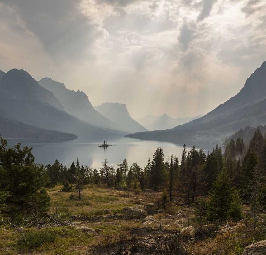 All information about the world